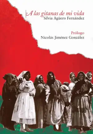 Imagen anterior del producto