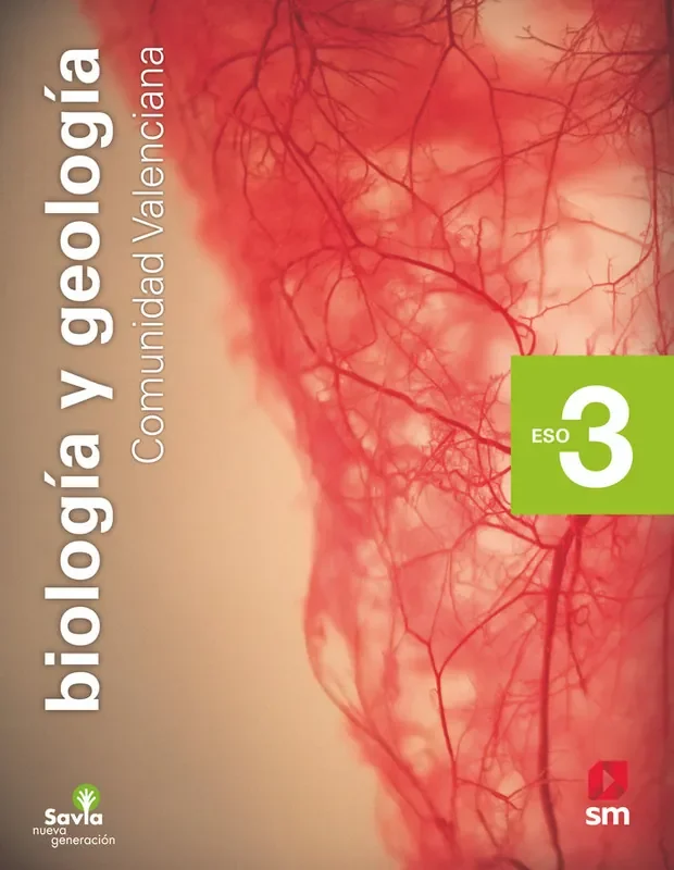 Imagen anterior del producto