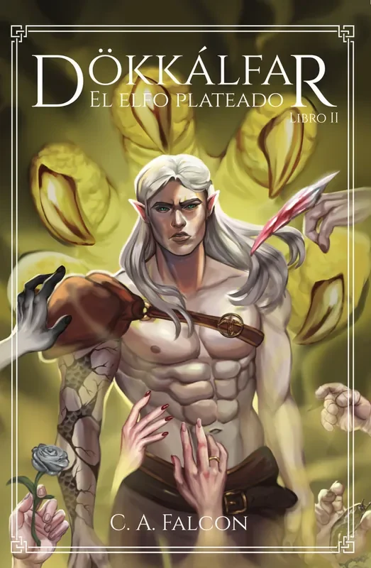 Imagen anterior del producto