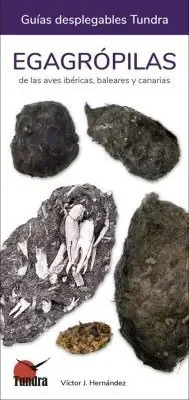 Imagen anterior del producto