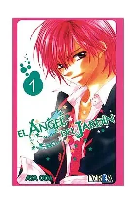 Imagen anterior del producto