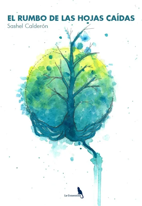 Imagen anterior del producto