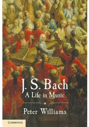 Imagen siguiente del producto