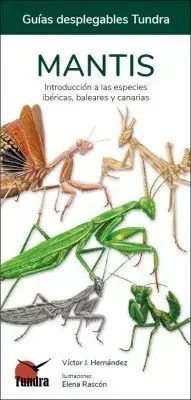 Imagen siguiente del producto