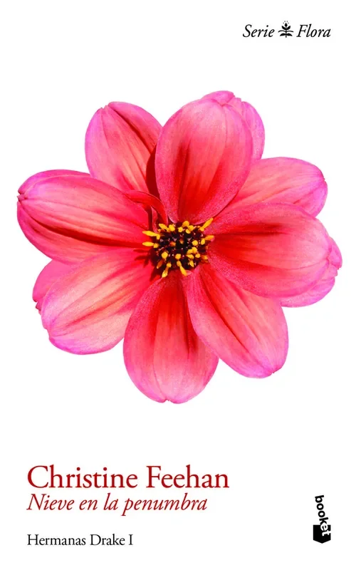 Imagen anterior del producto